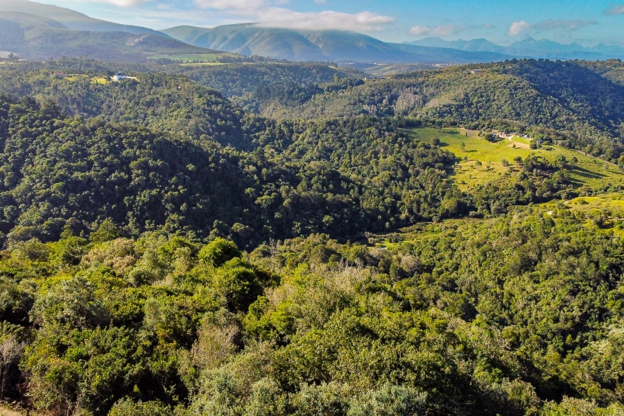 0 Bedroom Property for Sale in Wilderness Heights Western Cape